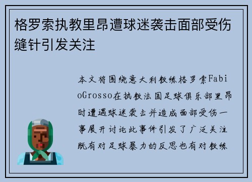 格罗索执教里昂遭球迷袭击面部受伤缝针引发关注